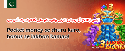 فلائٹ ماسٹر ایوارڈ promotion